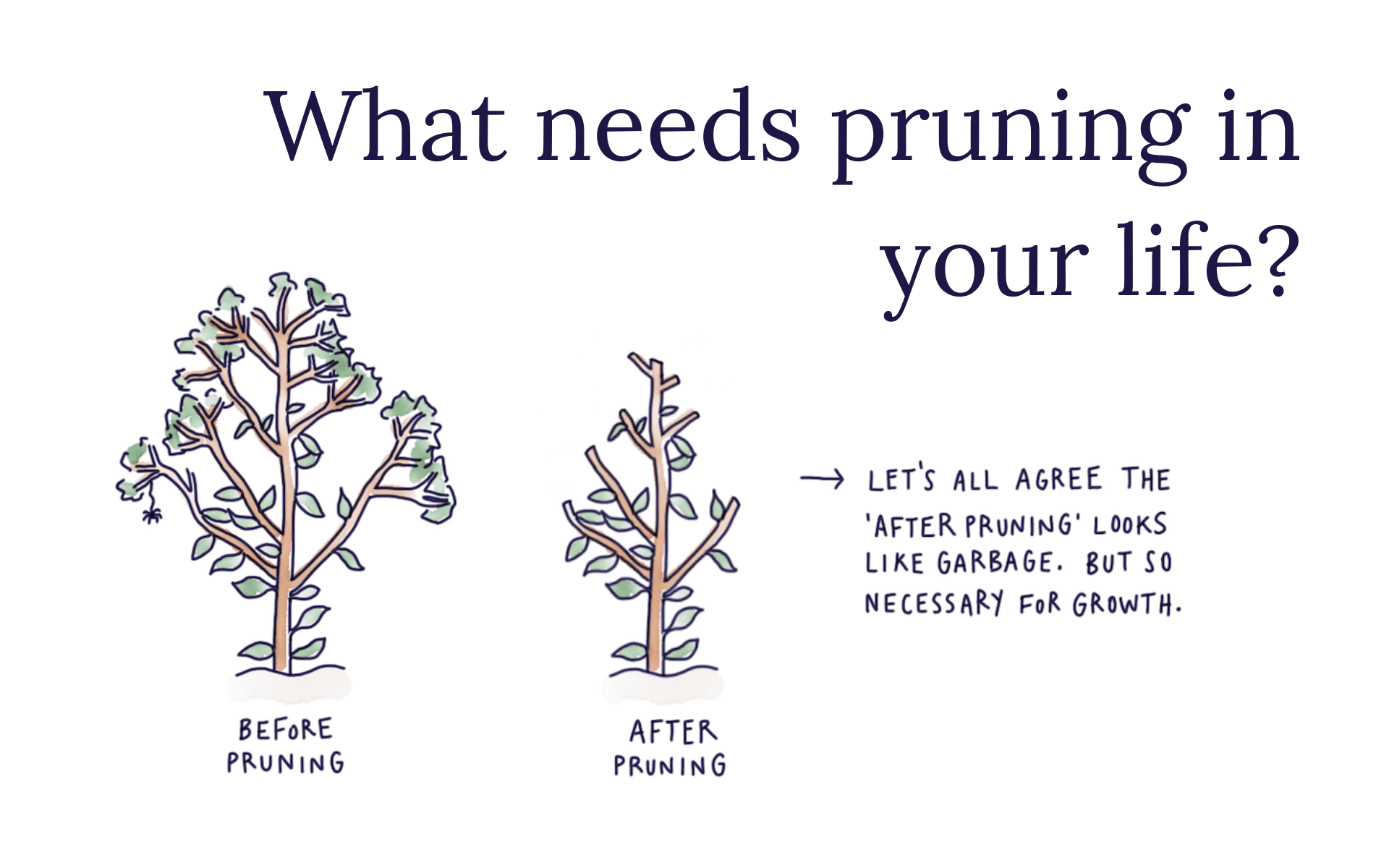 What Needs Pruning In Your Life?