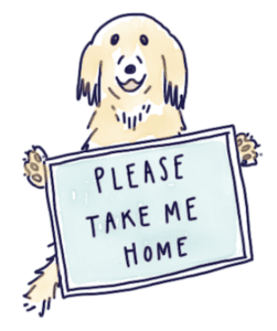 Please take me home doggy