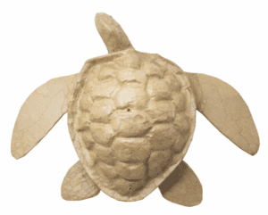 Sea Turtle Biodegradable Cremation Urn