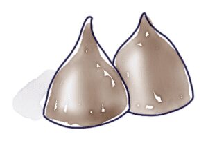 Hershey's Kisses