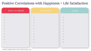 Correlates to Happiness + Life Satisfaction Blank!