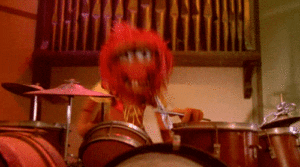 Animal playing the drums. It's excellent.