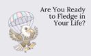 Are You Ready to Fledge in Your Life?