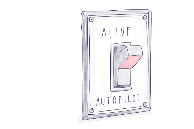 The Alive Switch The Alive Switch