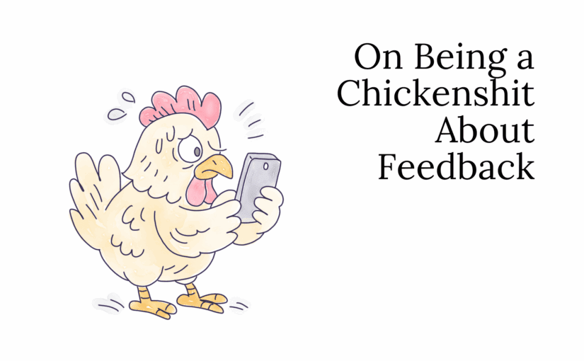 On Being Chickensh*t About Feedback