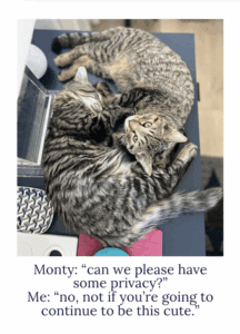 Monty and Walter. Adorable.