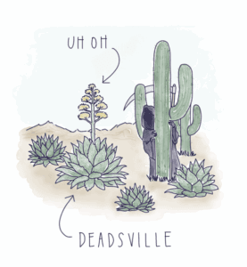 The Dreaded Agave Kiss of Death