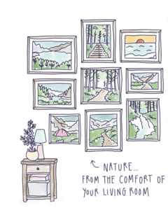 Nature... from the comfort of your living room