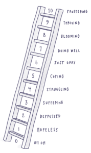 The Gallup Cantril Ladder